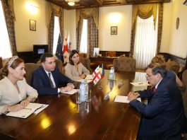 გიორგი ტყემალაძე რუმინეთის ელჩს შეხვდა